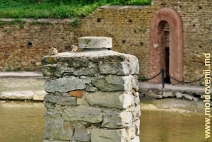 Образцы кладки стен вокруг источников