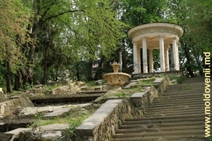 Parcul Valea Morilor, mai 2012