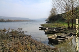 Впадение реки Кушмирки в Днестр в селе Климэуций де Жос