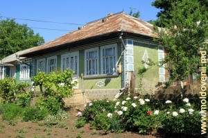 Дома и улицы села Егоровка