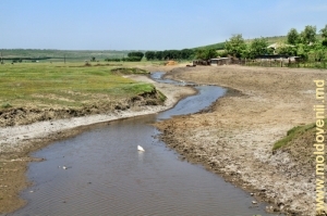 Rîul Camenca în preajma satului Drujineni, Făleşti, în apropiere de gura lui de vărsare
