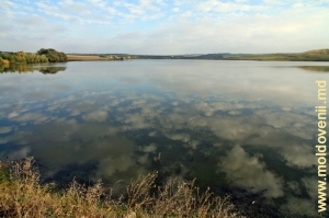 Lacul de acumulare de pe rîul Camenca, satul Sturzeni Rîşcani