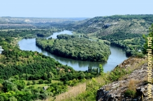 Вид на село Наславча и Днестр с вершины крутого берега