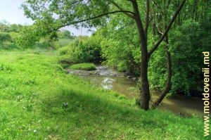 Река Вилия в природном заповеднике у с. Тецкань