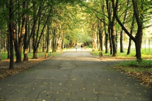 Боковая аллея парка осенью
