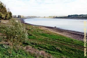 Lacul de acumulare deversat dintre satele Cucuieţii Noi şi Camenca
