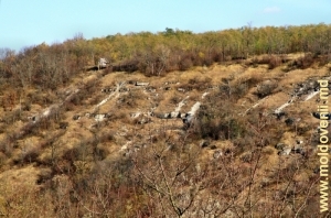 Скалистый левый склон над долиной реки Косарэу