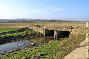 Мост через Кушмирку у села Кушмирка