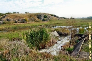 Каменка между селеми Кобань и Балатина