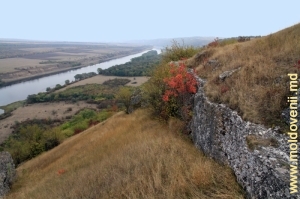 Вид на Днестр с вершины склона крутого скалистого берега