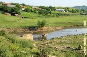 Răutul lîngă satul Ordăşei, Floreşti