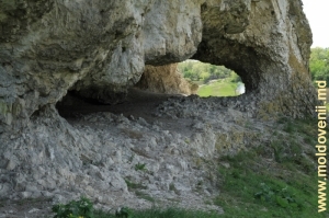 Peşteră din neolitic încorporată în Reciful Buteşti, vedere pe dinăuntru