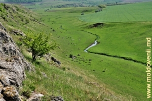 Valea rîului Camenca între satele Buteşti şi Cobani, Glodeni