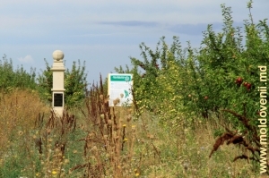 Вид памятника у геодезического пункта Рудь в 2010 году