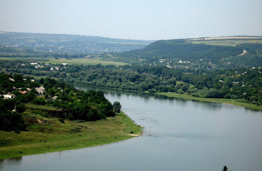 Meadow of Dniester near village Raşcov, Camenca