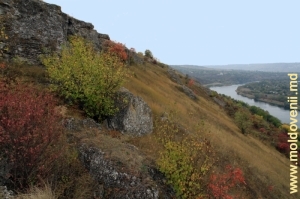 Склон берега со скалами и зарослями кустарника, вид в направлении села Наславча