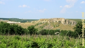 Большая скала у с. Кобань, слева видна взорванная и выработанная часть толтровой гряды