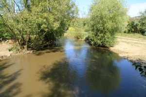 Река Раковэц в селе Фетешть
