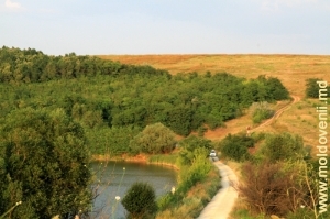 Drum de-a lungul lacului în raionul Ialoveni