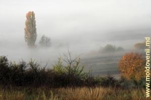 Peisaj de octombrie, raionul Străşeni