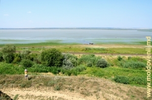 Озеро Ротунда у села Манта, Кахул. Июль