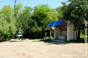 Un loc pitoresc de odihnă cu izvor din raionul Cantemir