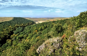 Ущелье в долине реки Раковэц в заповеднике