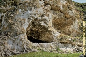 Фронтальный вид пещеры в Бутешть, ближний план
