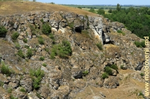 Правый склон ущелья Тринка с несколькими пещерами в нем