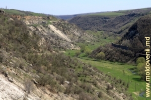 Valea rîului Ciorna din defileul de lîngă satul Glinjeni, Rezina