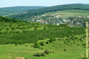 Vedere de pe dealul Tabăra, Orhei