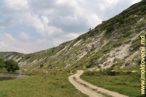 Drumul din valea Răutului, lîngă satul Trebujeni, Orhei