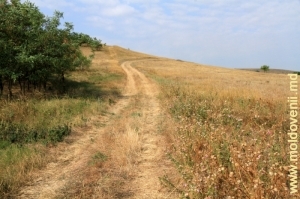 Дорога через поля у Чимишлии