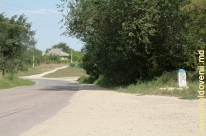 Drumul spre Palanca, Ştefan Vodă