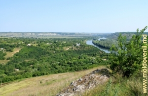 Вид на село Наславча, Окница и Днестр. Август