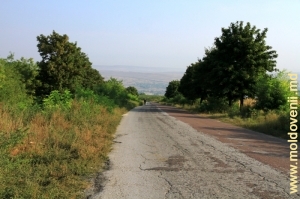 Drum printre dealurile raionului Teleneşti
