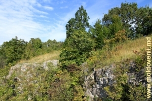 Valea împădurită a rîului Draghişte din partea centrală a rezervaţiei („Elveţia moldovenească”, conform spuselor băştinaşilor)