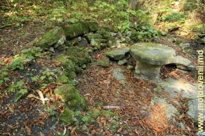Colţişor de odihnă lîngă izvorul din parcul Vila Mîndîc