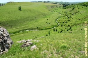 Vedere spre satul Brînzeni şi valea rîului Racovăţ din vîrful defileului