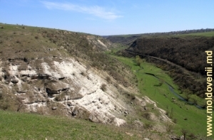 Valea rîului Ciorna din defileul de lîngă satul Glinjeni, Rezina