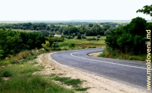 Drum şi vedere spre Prut lîngă satul Cîşliţa, Prut, Cahul