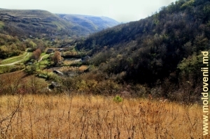 Vedere spre valea rîului Cosărău din vîrful pantei stîngi a Rîpii Rudi