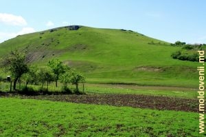 Un lanţ de toltre imens, situat deasupra satului Pociumbeni, la graniţa cu satul Druţa