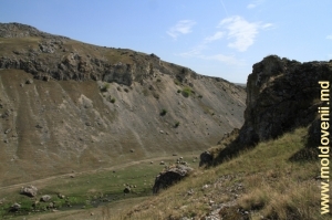 Вид на дно ущелья и левый склон
