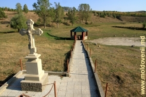 Popasul de lîngă podul peste r. Racovăţ şi izvoarele din apropierea satului Brînzeni, raionul Edineţ