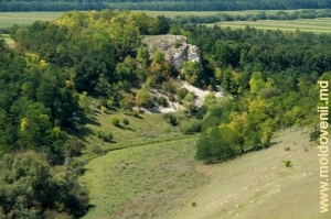 Вид ущелья в урочище Борта Чунтулуй с левого склона