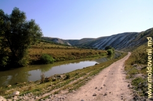 Drumul de-a lungul Răutului între satele Trebujeni şi Furceni