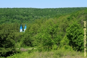 Mănăstirea Ţigăneşti din pădure