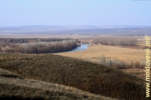 Rîul Prut în apropiere de satul Hănăşenii Noi, Leova. La început de primăvară