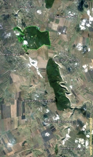 Зона толтровых рифов вдоль долин рек Раковэц и Драгиште в Единецком районе на карте Google